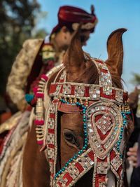 Portrait of man wearing mask