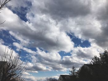Low angle view of trees against sky