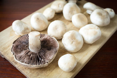 High angle view of mushrooms on table