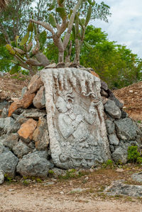 Stone wall with rocks