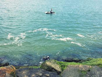 High angle view of horse in sea