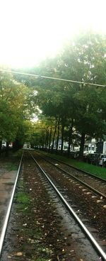 Railroad track amidst trees against sky