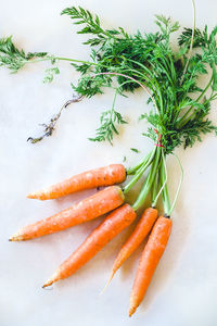 High angle view of carrots