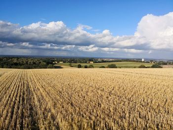 Scenic view of agricultural field against sky