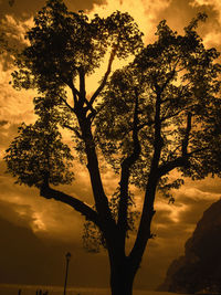 Silhouette tree against dramatic sky during sunset