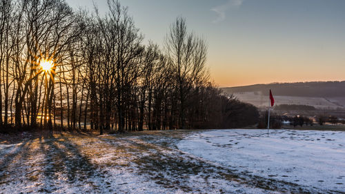 Snow covered trees against sky during sunset