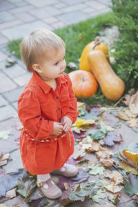 Portrait of cute boy standing amidst plants