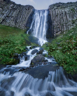 Scenic view of waterfall in forest