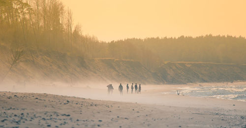 People on beach against sky