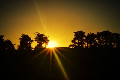 Silhouette of trees at sunset