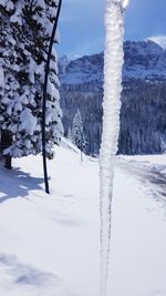 Snow covered field by trees against mountain