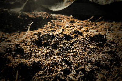 Full frame shot of rocks on field