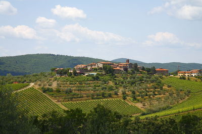 Scenic view of agricultural field against sky