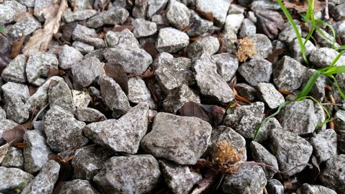 High angle view of stones