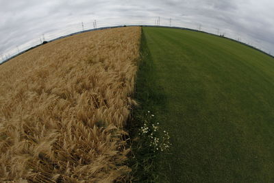 Scenic view of farm against sky