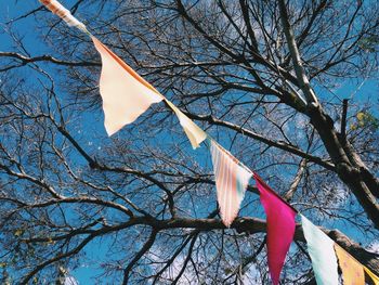 Low angle view of bunting flags by tree against sky