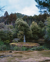 Trees in park