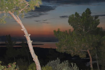 Scenic view of lake in forest against sky