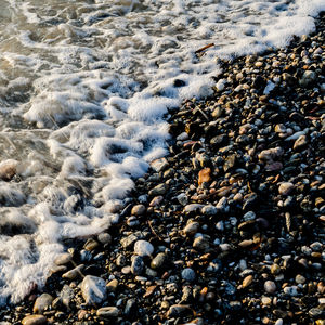 Surface level of pebble beach