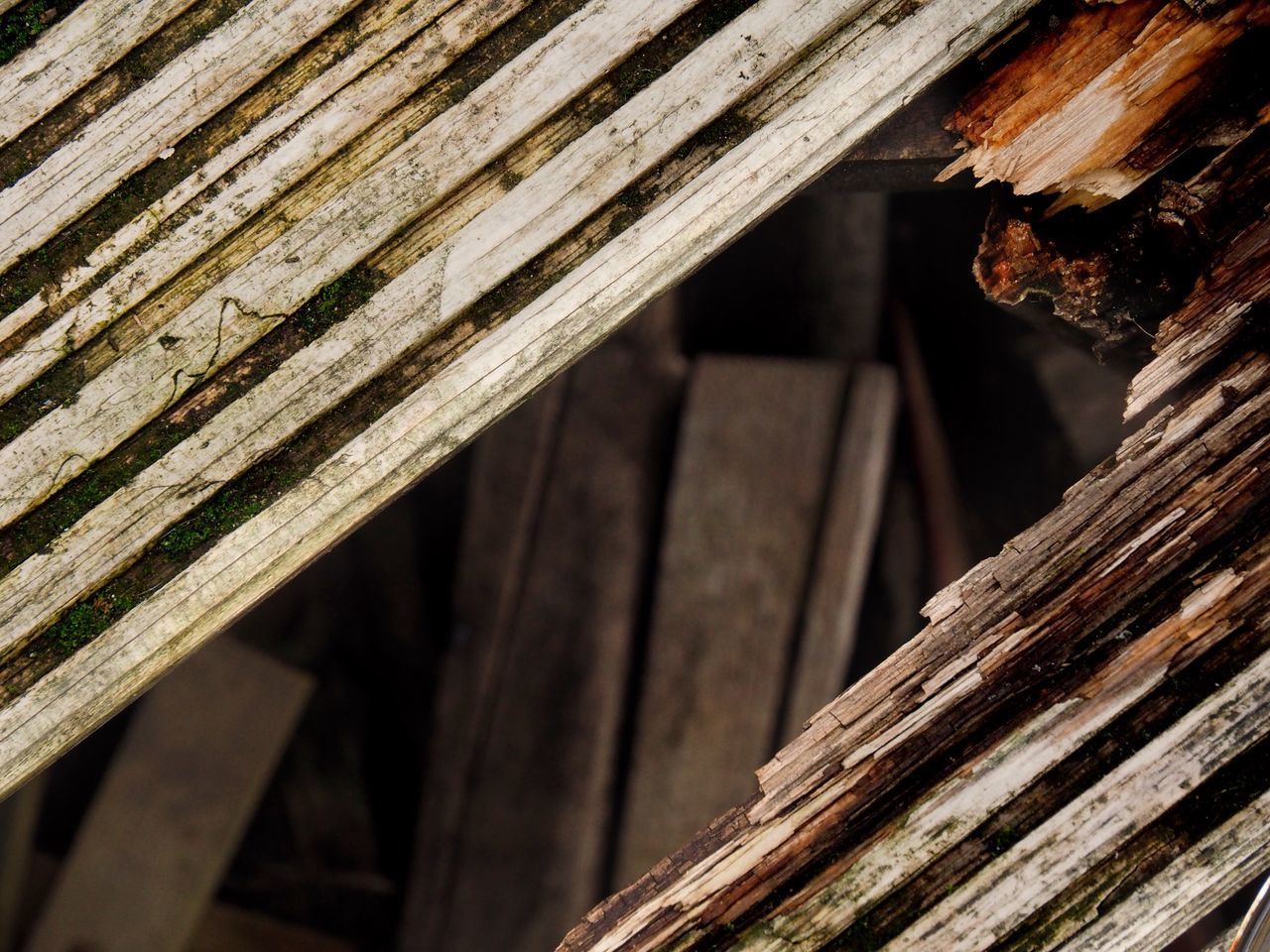 CLOSE-UP OF WOODEN PLANKS