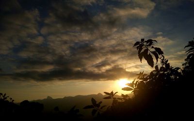 Low angle view of silhouette trees against cloudy sky