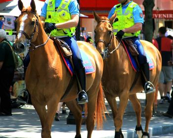 Low section of police officers riding horses in city