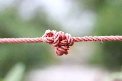 Close-up of tied rope outdoors