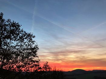 Silhouette trees against sky during sunset