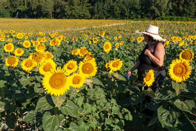 Woman into a sunflower field