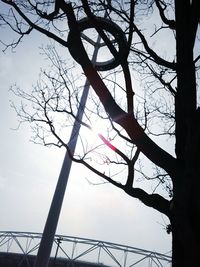 Low angle view of bare trees against sky