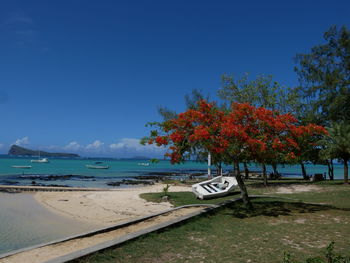 Scenic view of beach against blue sky