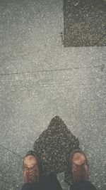 Close-up of plant in background