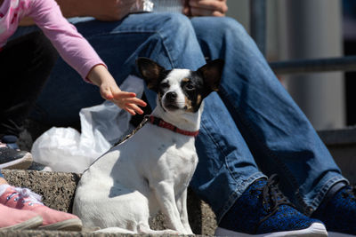 Low section of man with dog