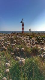 Lighthouse on beach against clear sky