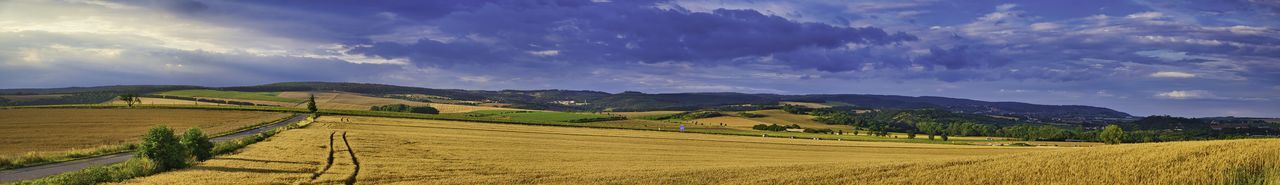 Panoramic view of agricultural field against sky