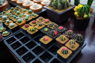 High angle view of various food on tray