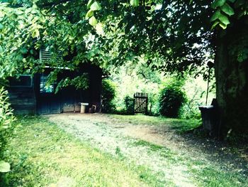 View of built structure with trees in foreground