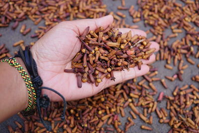 Cropped hand of woman holding cloves