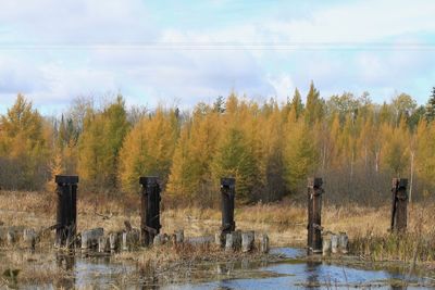 Panoramic view of wooden posts on field against sky