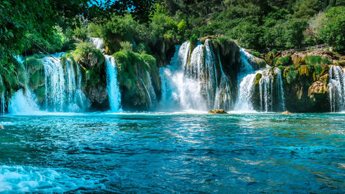 Scenic view of waterfall in forest