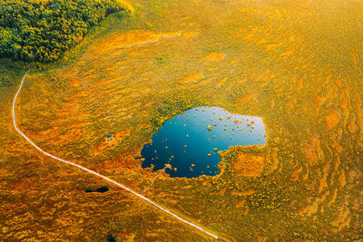 High angle view of water drops on land