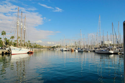 Sailboats in marina