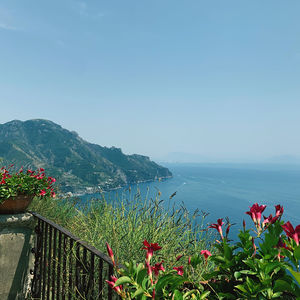 Scenic view of sea against blue sky