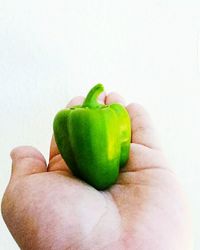 Close-up of green chili pepper against white background