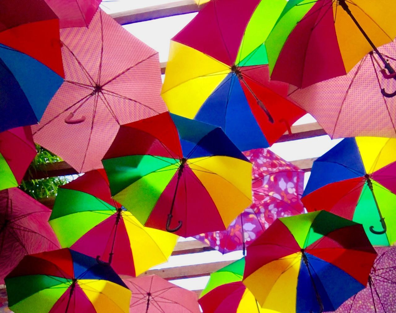 LOW ANGLE VIEW OF UMBRELLAS