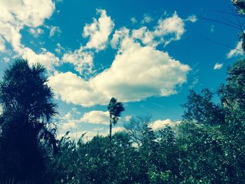 Low angle view of trees against cloudy sky