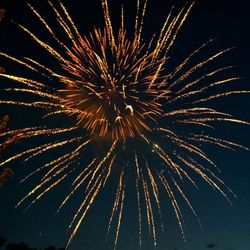 Low angle view of firework display at night