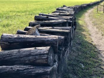 Wooden logs on field in forest