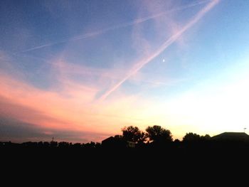 Silhouette trees against sky during sunset