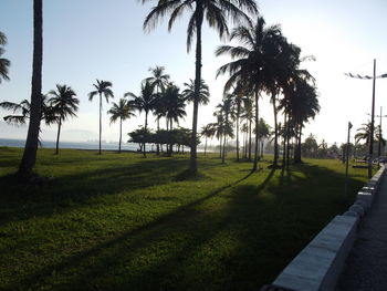 Palm trees on landscape against sky